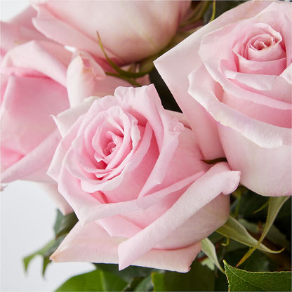 Picture Perfect Pink Rose Bouquet –  J C Snyder Florist By Transcend, Harrisburg PA