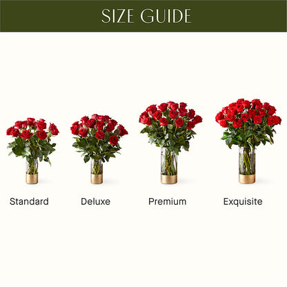 Classic Love Red Rose Bouquet –  J C Snyder Florist By Transcend, Harrisburg PA