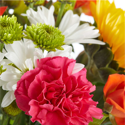 Sun-drenched Blooms Bouquet –  J C Snyder Florist By Transcend, Harrisburg PA
