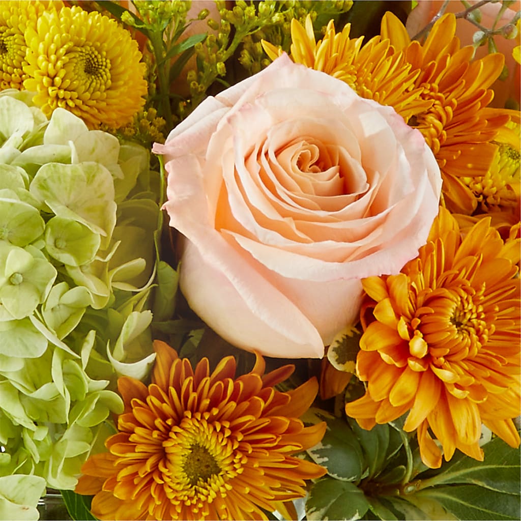 Fall Foliage Bouquet –  J C Snyder Florist By Transcend, Harrisburg PA