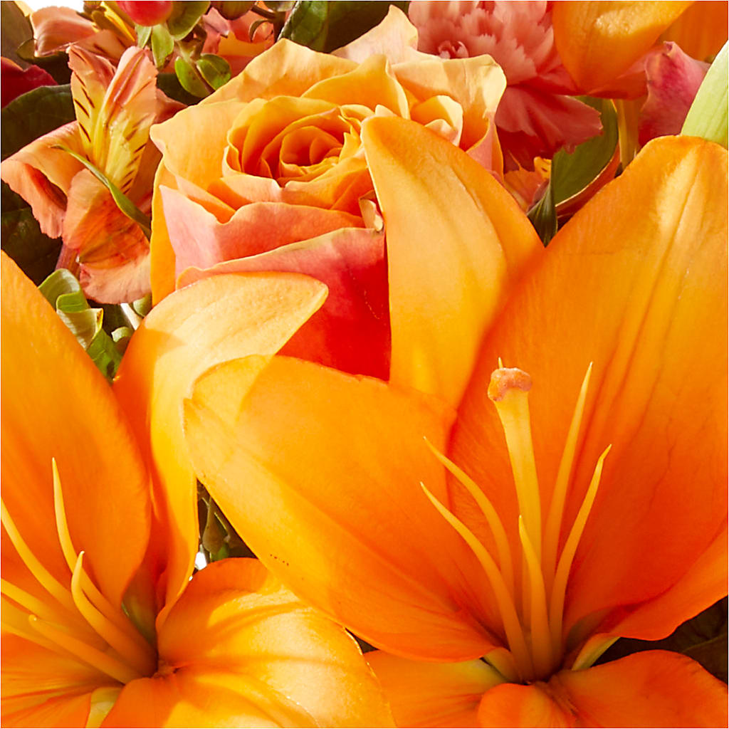 Afternoon Light Bouquet –  J C Snyder Florist By Transcend, Harrisburg PA