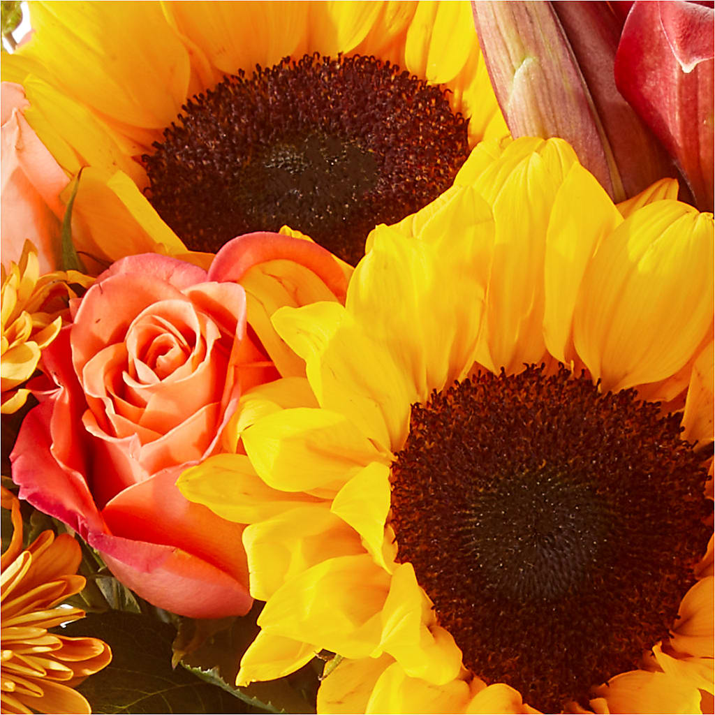 Acorn Lane Bouquet –  J C Snyder Florist By Transcend, Harrisburg PA
