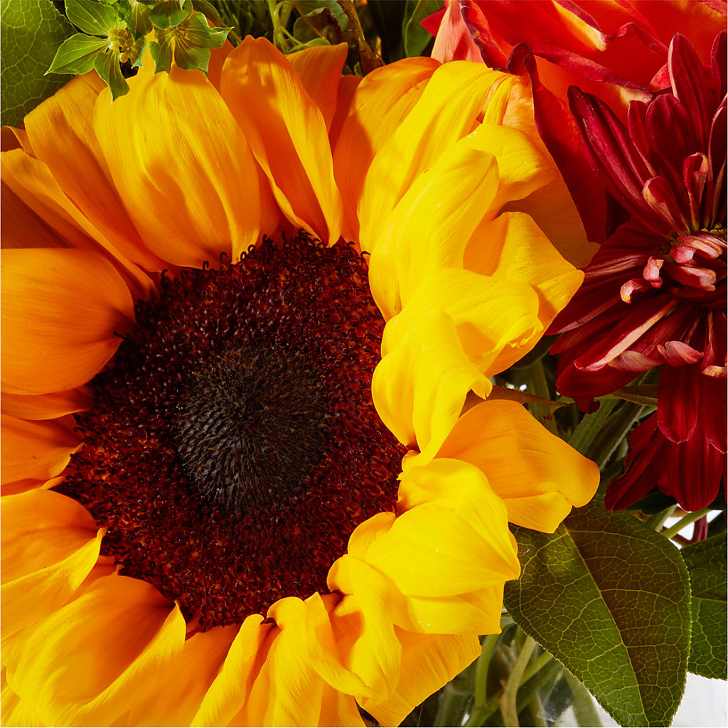 Harvest Festival Bouquet –  J C Snyder Florist By Transcend, Harrisburg PA