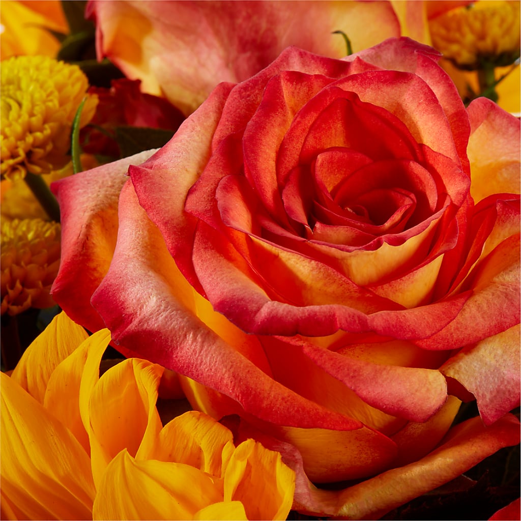 Picnic in the Park Bouquet –  J C Snyder Florist By Transcend, Harrisburg PA