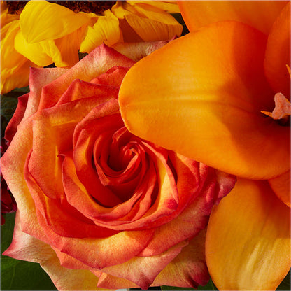 Grateful Centerpiece –  J C Snyder Florist By Transcend, Harrisburg PA