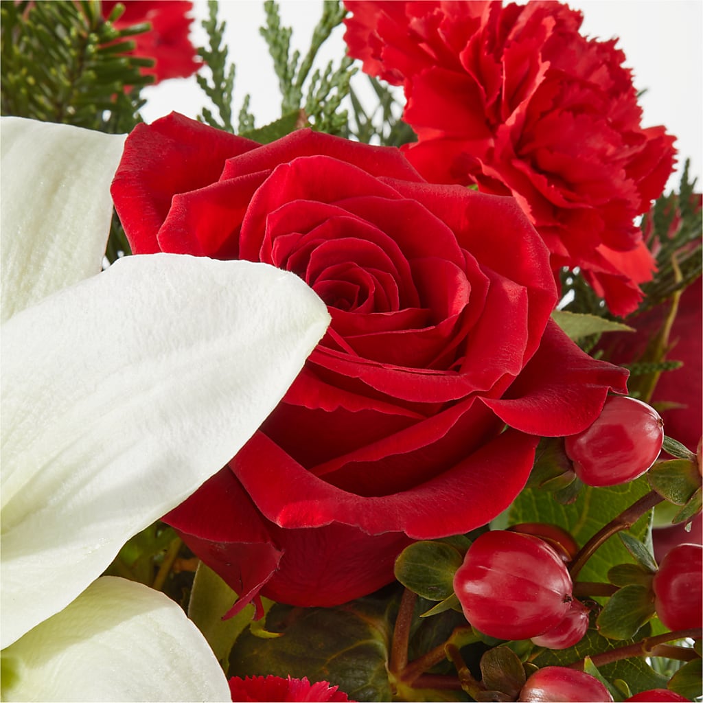 Oh So Jolly Bouquet –  J C Snyder Florist By Transcend, Harrisburg PA