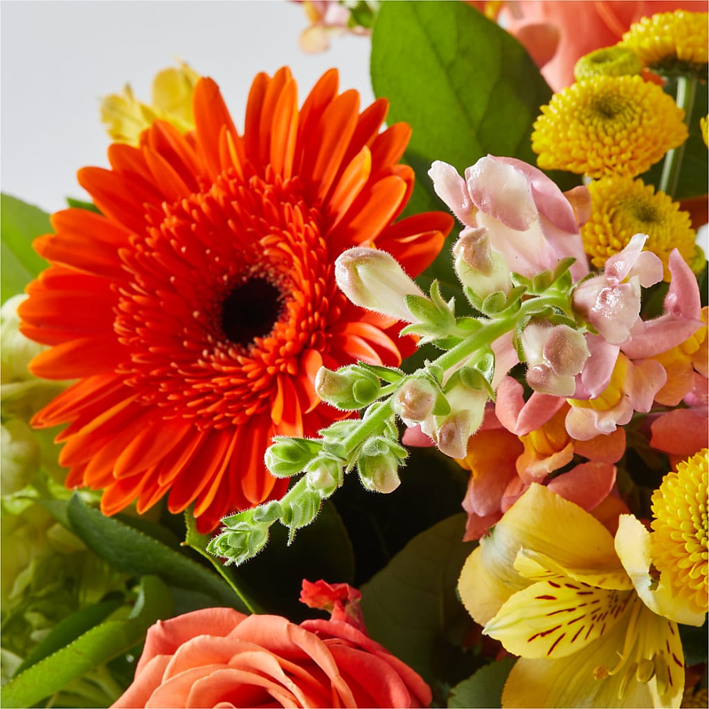 Autumn Sunshine Bouquet –  J C Snyder Florist By Transcend, Harrisburg PA