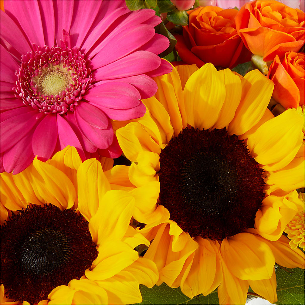 Beach Day Bouquet –  J C Snyder Florist By Transcend, Harrisburg PA
