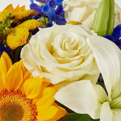Stargazing Bouquet –  J C Snyder Florist By Transcend, Harrisburg PA