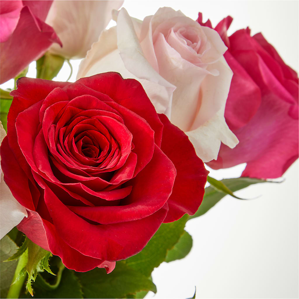 Charming Rose Bouquet –  J C Snyder Florist By Transcend, Harrisburg PA