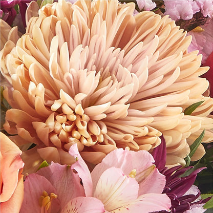 Berry Cobbler Bouquet –  J C Snyder Florist By Transcend, Harrisburg PA