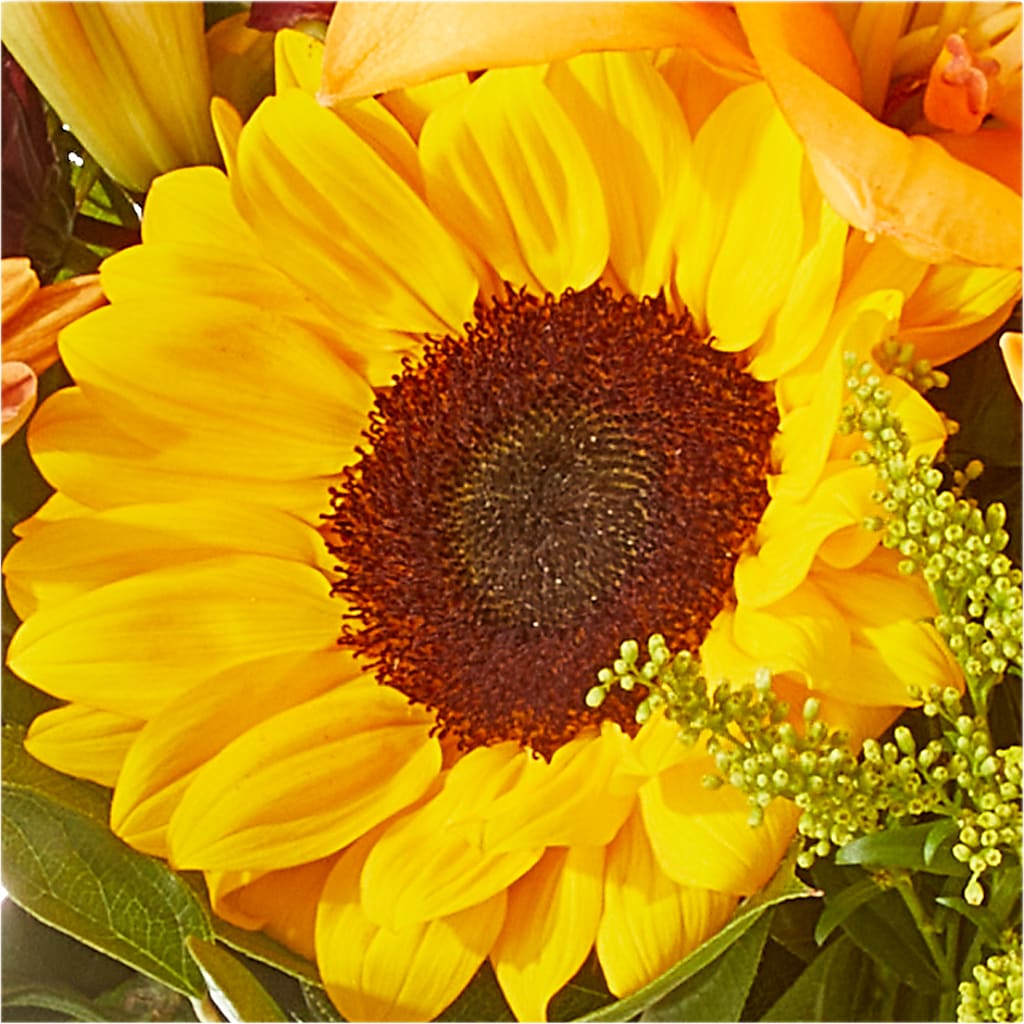 Seasons Change Bouquet –  J C Snyder Florist By Transcend, Harrisburg PA