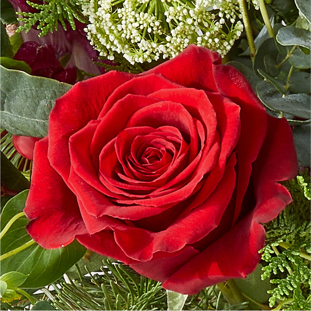 Cranberry Fizz Bouquet –  J C Snyder Florist By Transcend, Harrisburg PA