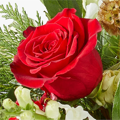 Deck the Halls Bouquet –  J C Snyder Florist By Transcend, Harrisburg PA