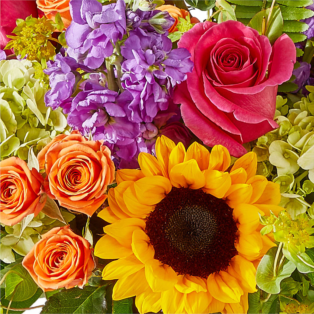 Vibrant Greetings Bouquet –  J C Snyder Florist By Transcend, Harrisburg PA