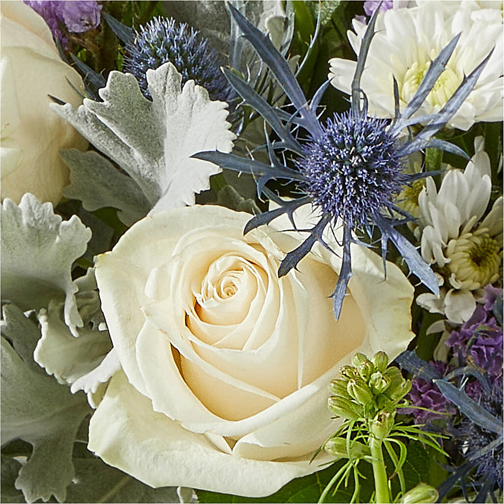 Shooting Star Bouquet –  J C Snyder Florist By Transcend, Harrisburg PA