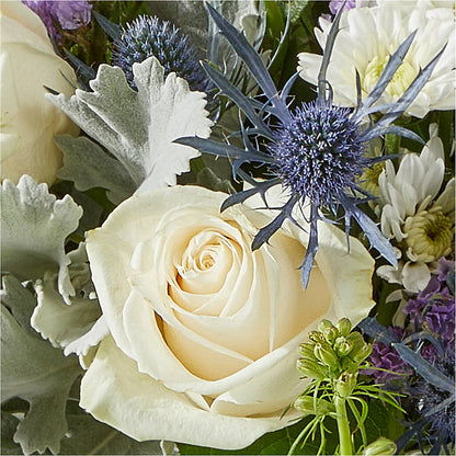 Shooting Star Bouquet –  J C Snyder Florist By Transcend, Harrisburg PA