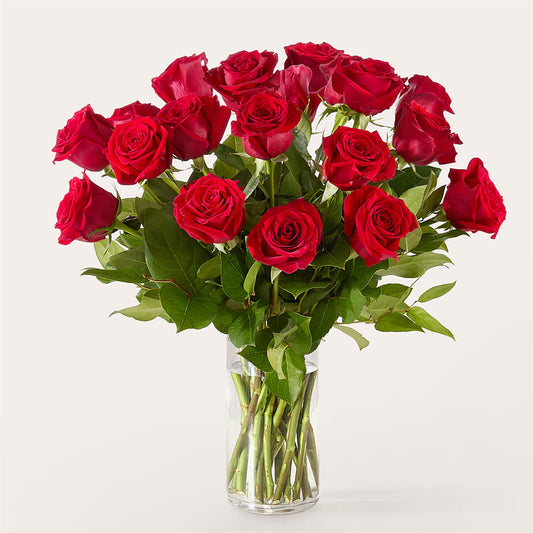 The One Red Rose Bouquet –  J C Snyder Florist By Transcend, Harrisburg PA