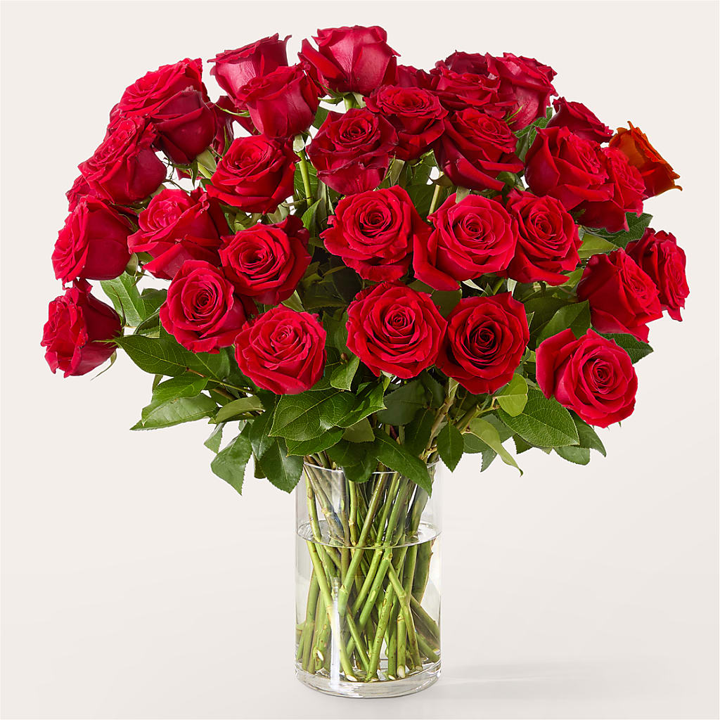 The One Red Rose Bouquet –  J C Snyder Florist By Transcend, Harrisburg PA