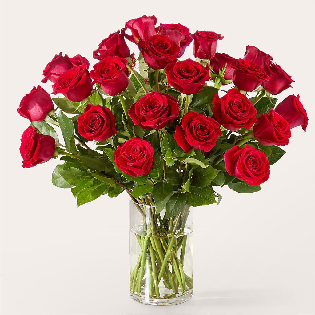 The One Red Rose Bouquet –  J C Snyder Florist By Transcend, Harrisburg PA