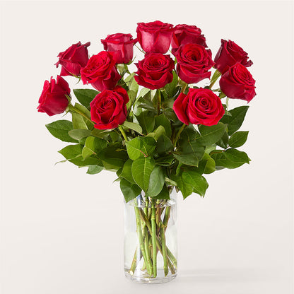 The One Red Rose Bouquet –  J C Snyder Florist By Transcend, Harrisburg PA