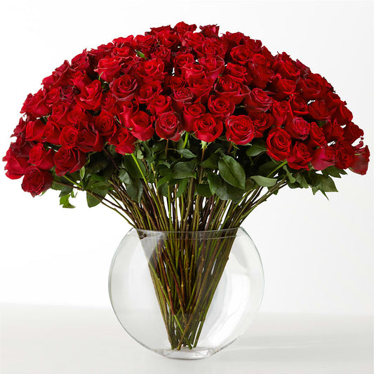 The Idealist –  J C Snyder Florist By Transcend, Harrisburg PA