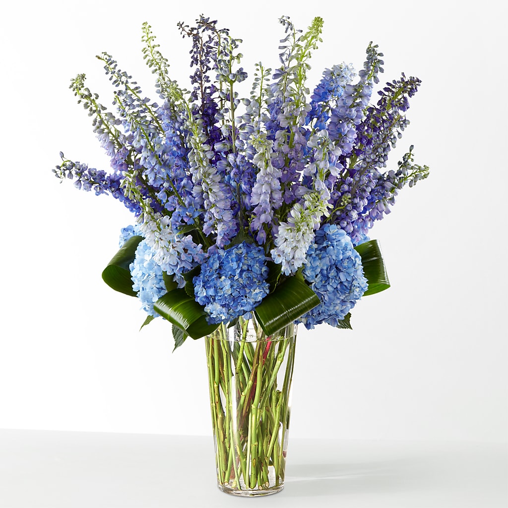 The Editorial –  J C Snyder Florist By Transcend, Harrisburg PA