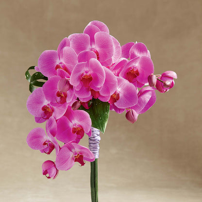 Glorious Bouquet –  J C Snyder Florist By Transcend, Harrisburg PA