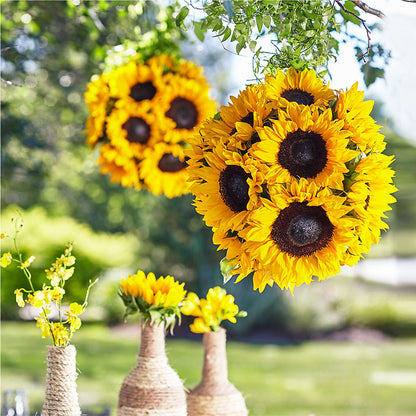 Sublime Garden Hanging Arrangement –  J C Snyder Florist By Transcend, Harrisburg PA