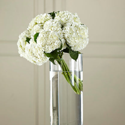 White Hydrangea Hand-Tied Bouquet –  J C Snyder Florist By Transcend, Harrisburg PA