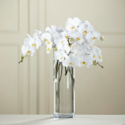 White Phalaenopsis Bouquet –  J C Snyder Florist By Transcend, Harrisburg PA