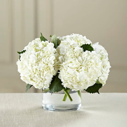 White Hydrangea Bouquet –  J C Snyder Florist By Transcend, Harrisburg PA