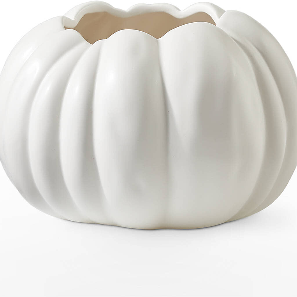Pumpkin to Talk About Bouquet –  J C Snyder Florist By Transcend, Harrisburg PA